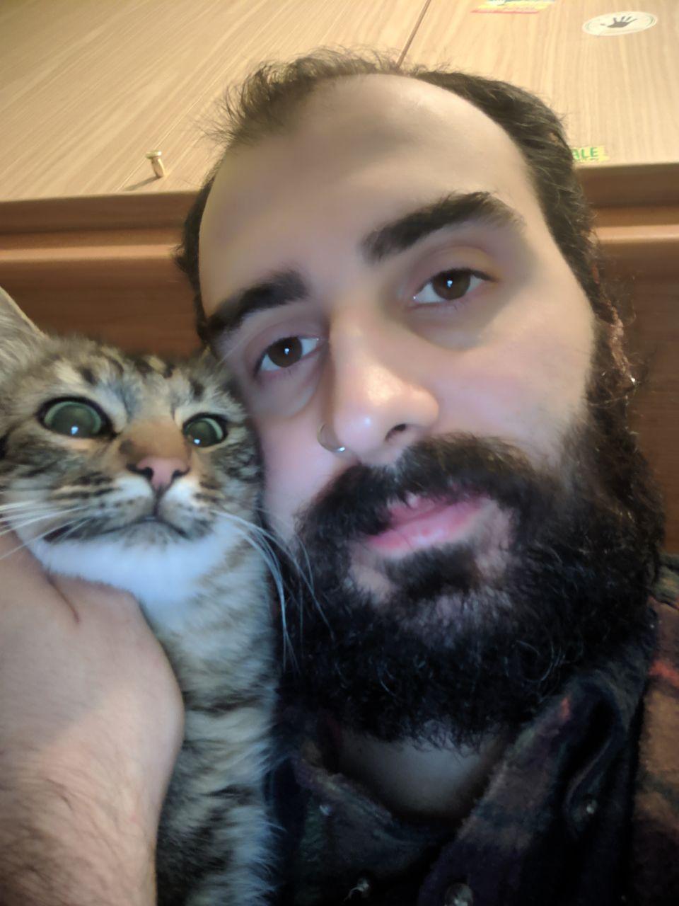 Cats